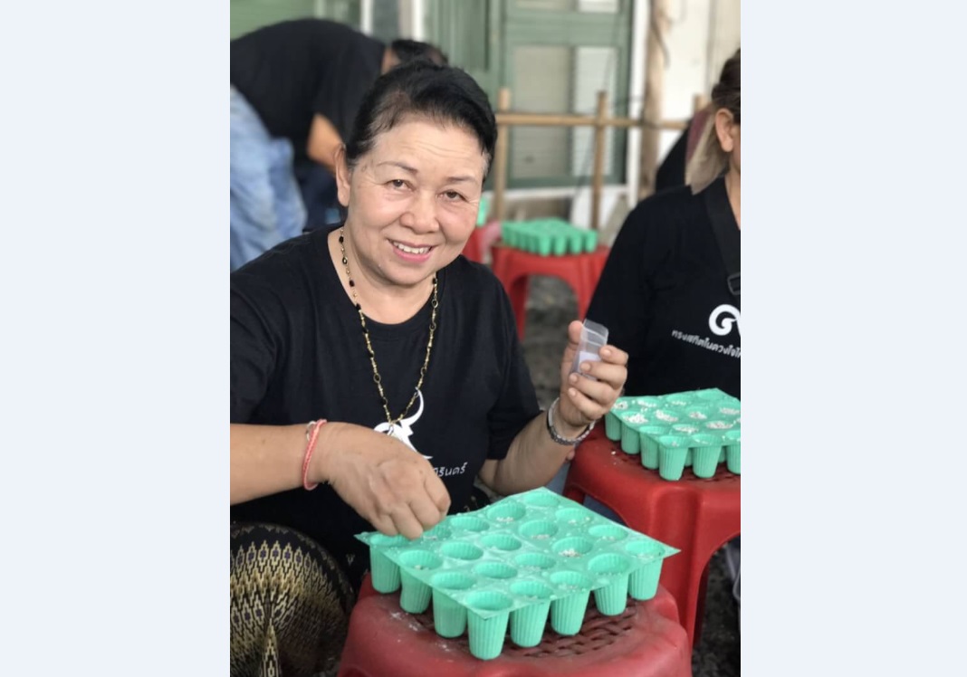 กลยุทธ์ 1+3 ในชุมชน วิธีขยายสัมพันธ์เพื่อนบ้าน thaihealth