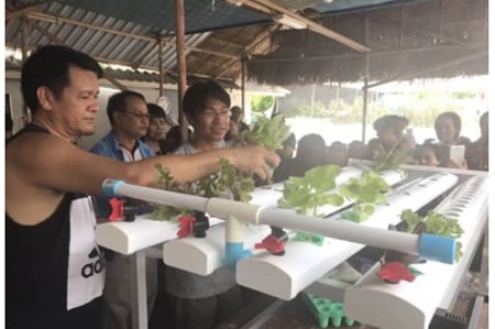กลยุทธ์ 1+3 ในชุมชน วิธีขยายสัมพันธ์เพื่อนบ้าน thaihealth