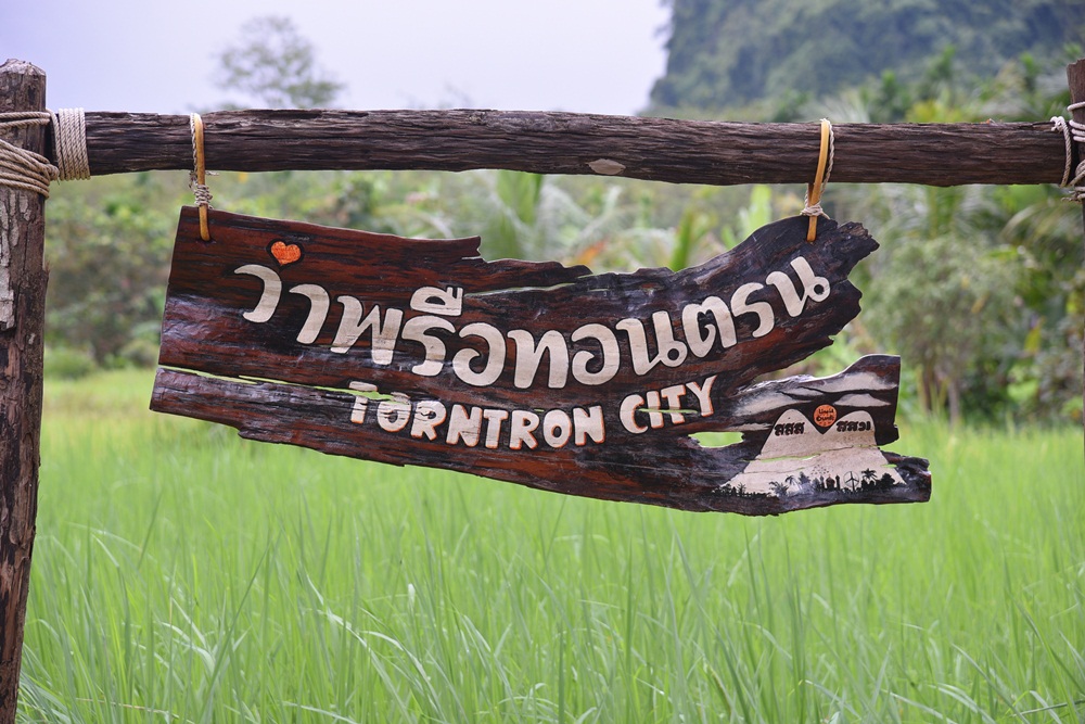 'เก็บผักกูด ดูดหอยโล้' เปิดประตูสู่บ้านทอนตรน thaihealth