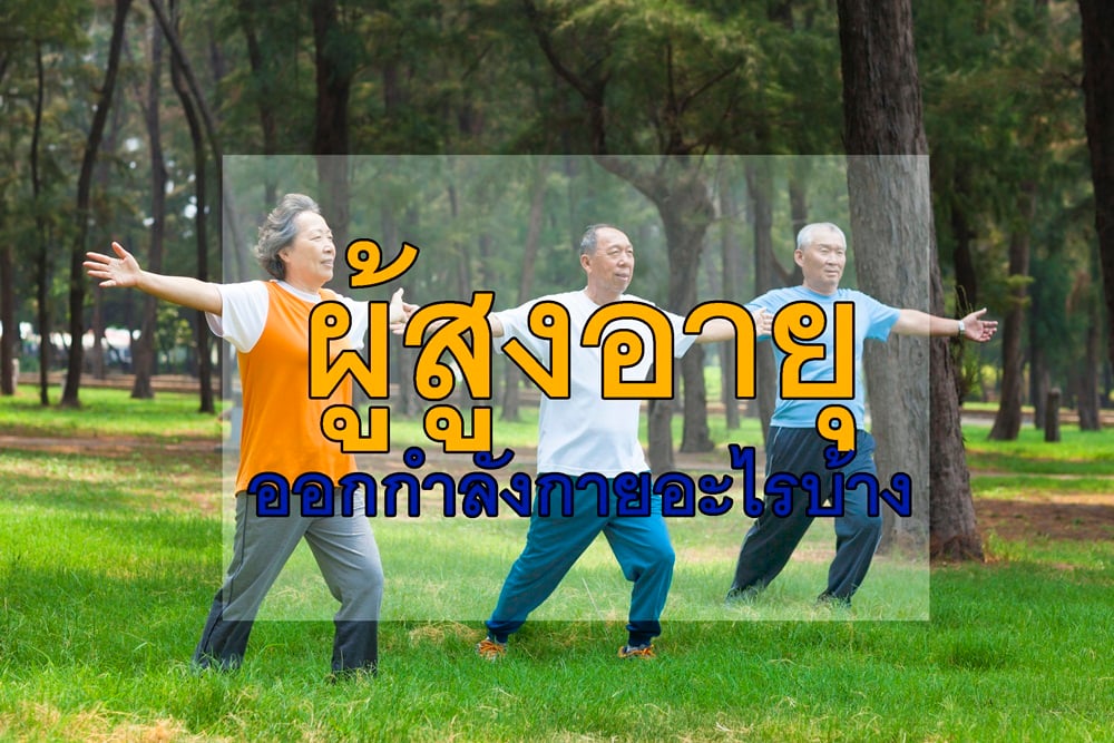 ผู้สูงอายุออกกำลังกายอะไรบ้าง thaihealth