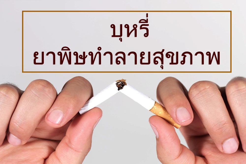  บุหรี่  ยาพิษทำลายสุขภาพ thaihealth
