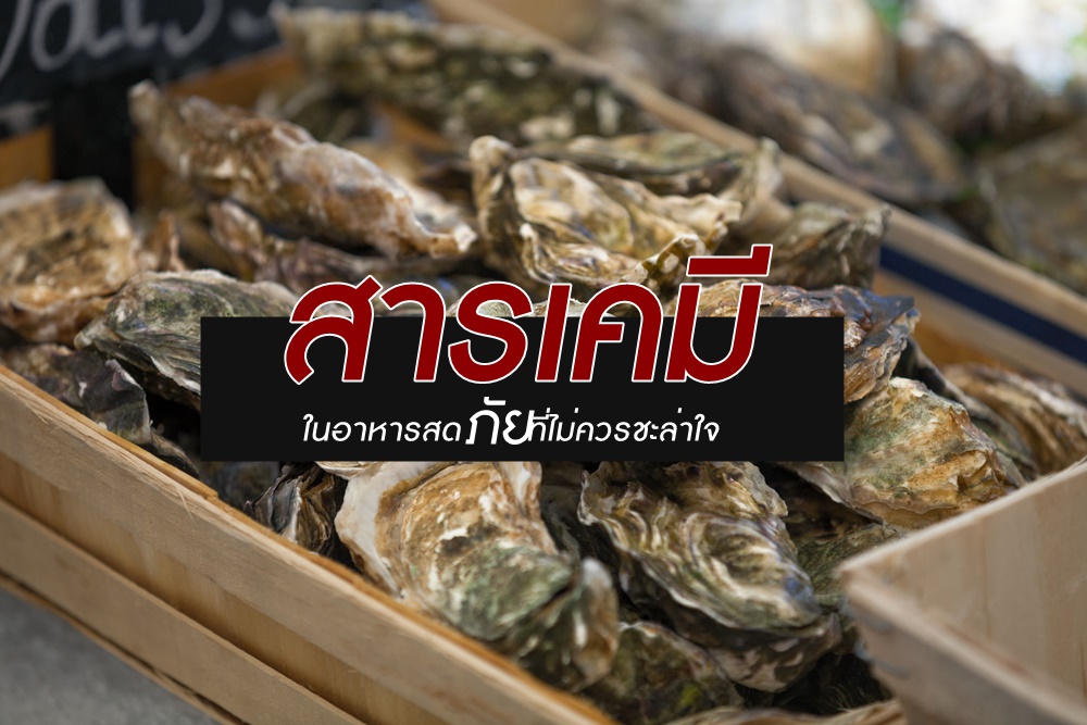 สารเคมีในอาหารสด ภัยที่ไม่ควรชะล่าใจ - สำนักงานกองทุนสนับสนุนการสร้างเสริมสุขภาพ (สสส.) สารเคมีในอาหารสด ภัยที่ไม่ควรชะล่าใจ - สำนักงานกองทุนสนับสนุนการสร้างเสริมสุขภาพ (สสส.)