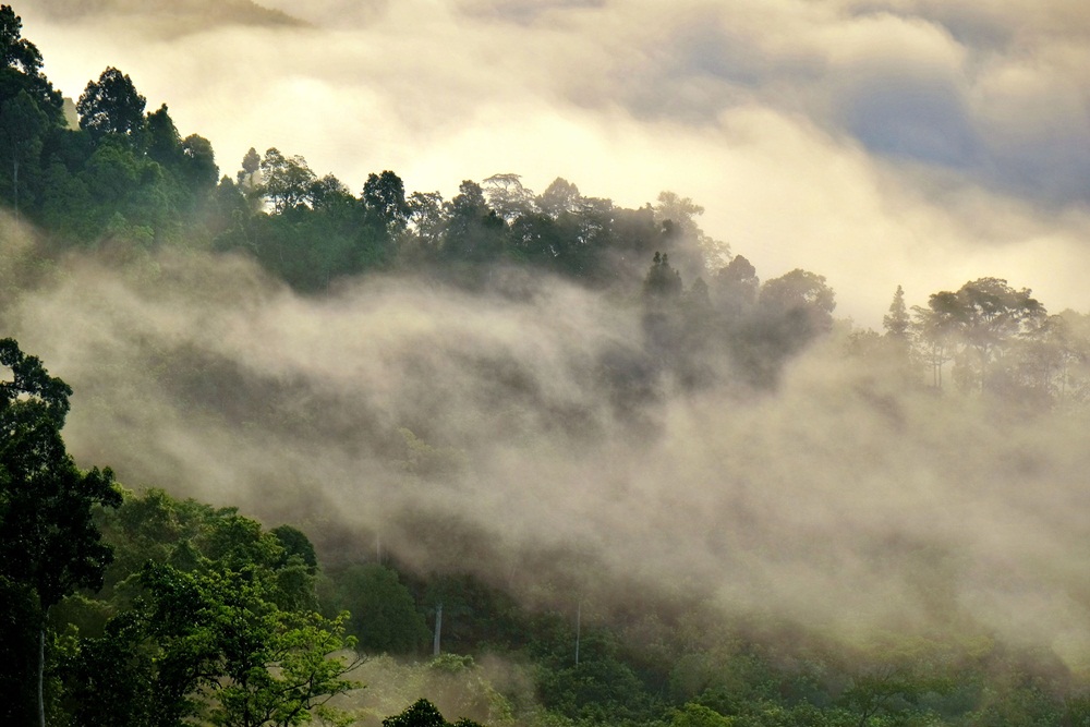 สุโขทัย-อากาศแปรปรวนหมอกลงจัดทั่วเมืองในรอบ 10 ปี thaihealth