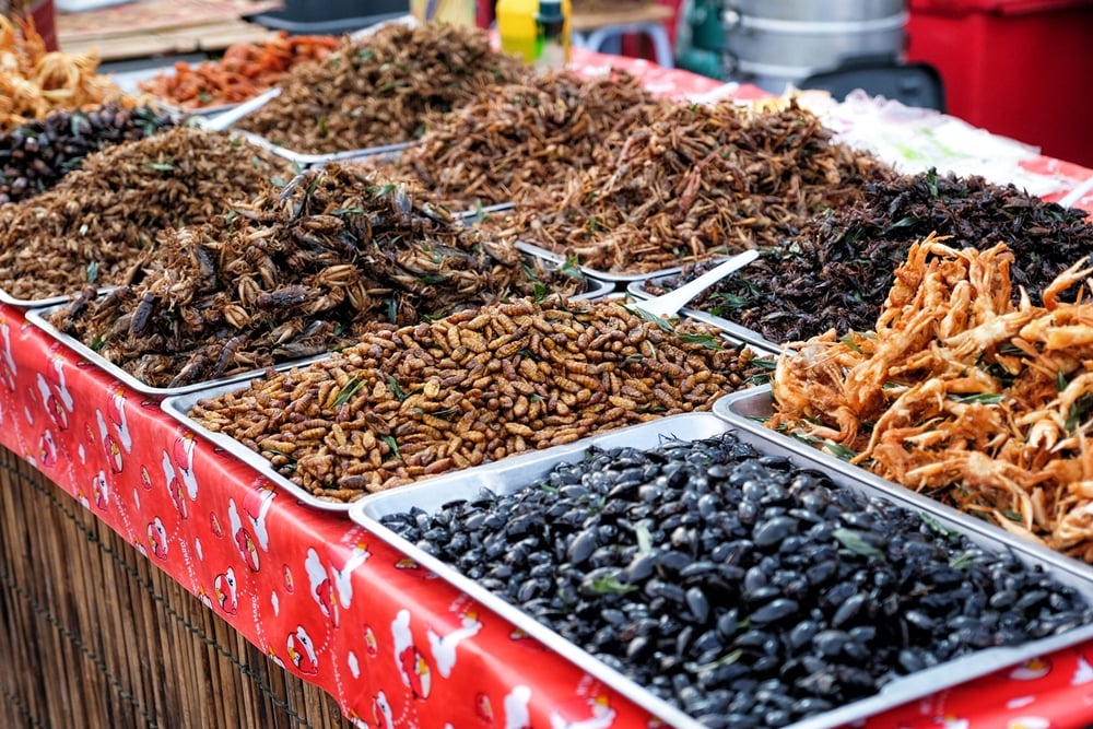 อียูเปิดตลาดรับ “แมลงไทย” พบโปรตีนสูง-ราคาถูก-หาง่าย thaihealth
