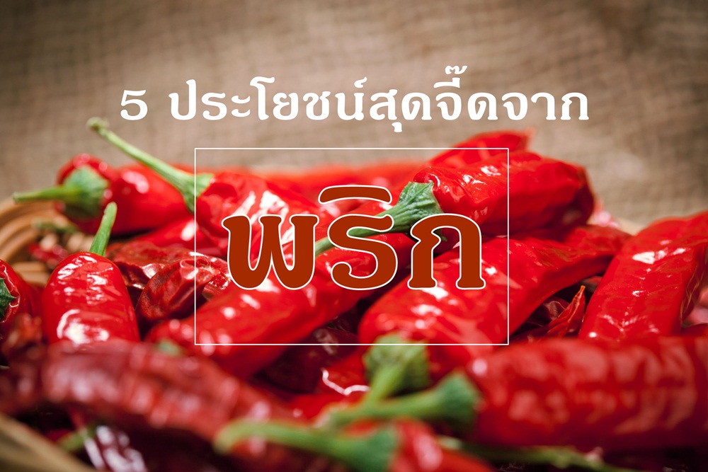  5 ประโยชน์สุดจี๊ดจากพริก thaihealth