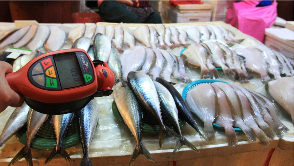 กรมประมงยืนยัน “ปลาฟูกุชิมะ” ปลอดรังสี  thaihealth