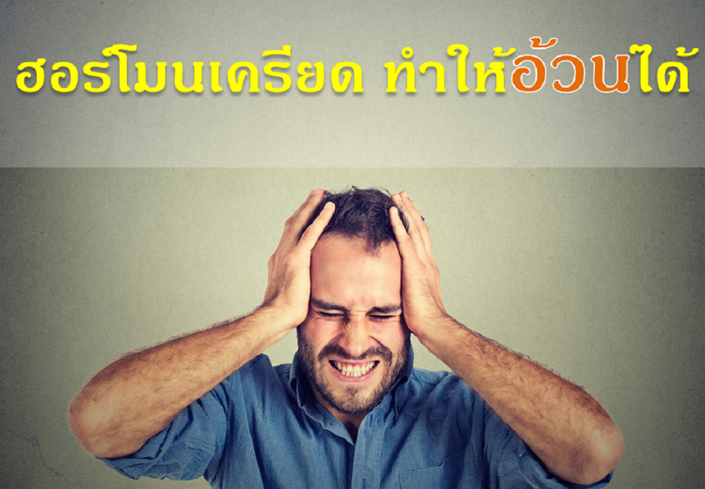 ้ฮอร์โมนเครียด ทำให้อ้วนได้ thaihealth