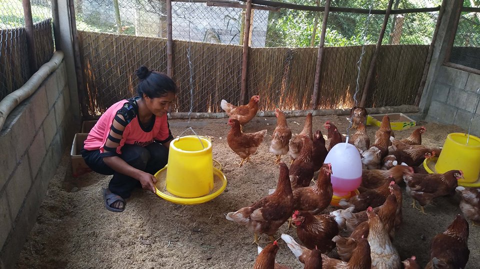 ปลูกผักเลี้ยงไก่ไข่ช่วยเปลี่ยนผ่านวัฒนธรรม thaihealth