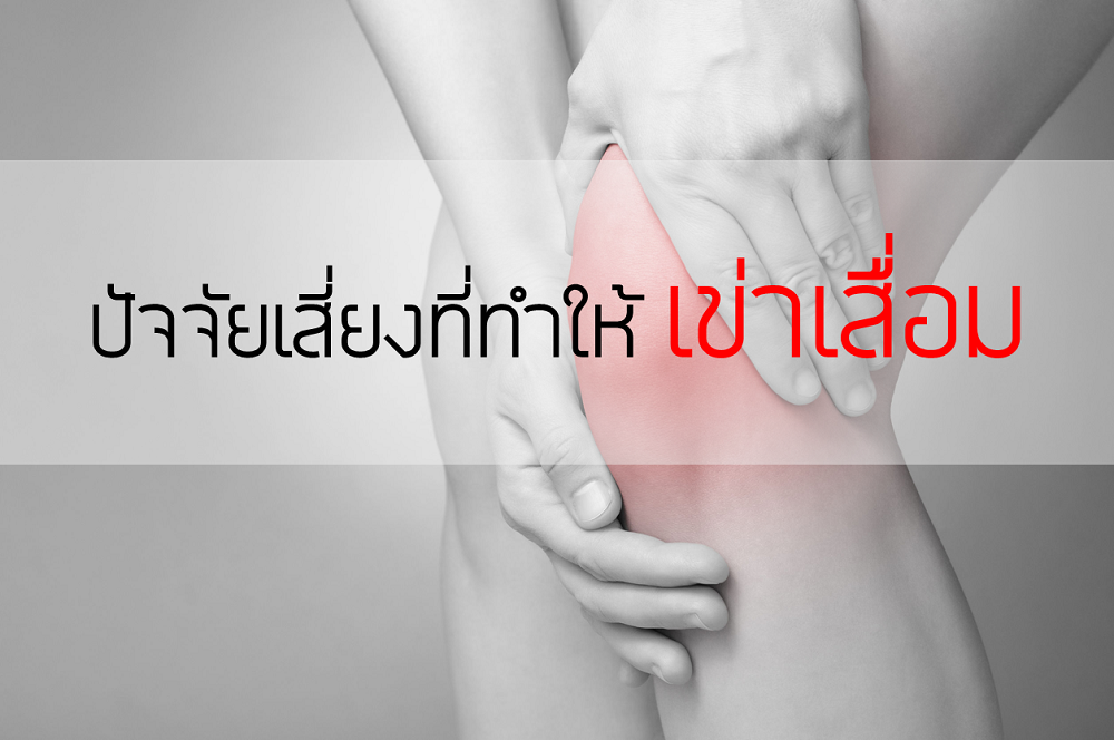 ปัยจัยเสี่ยงที่ทำให้เข่าเสื่อม thaihealth