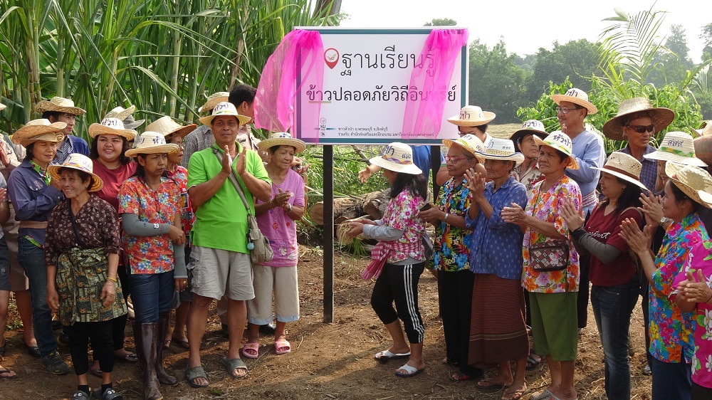 เกษตรอินทรีย์ พัฒนา 'หัวป่า' สู่การท่องเที่ยว thaihealth