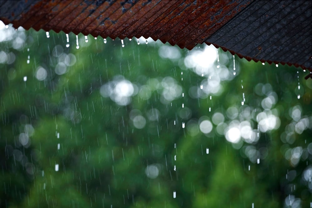 ฝนตกชุกทำน้ำขัง ระวังไข้เลือดออก thaihealth