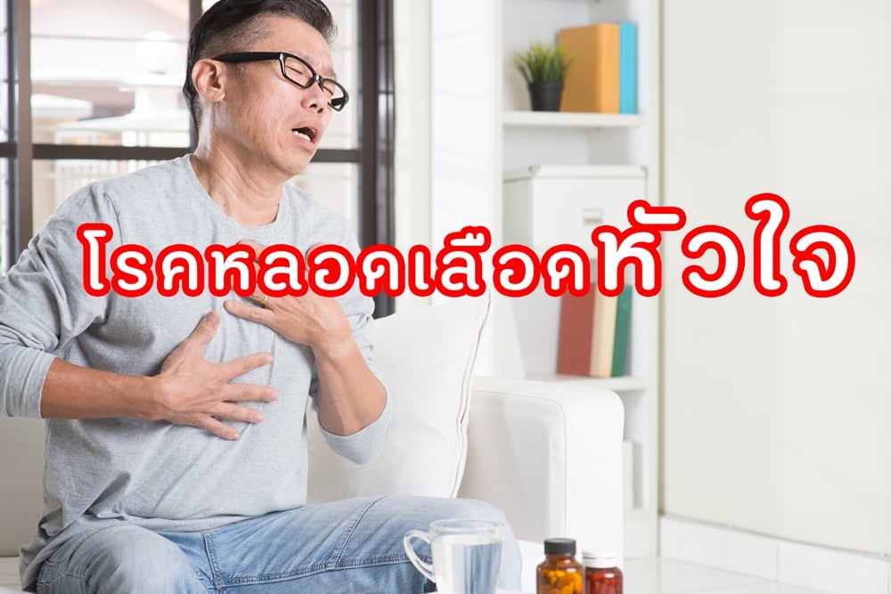 โรคหลอดเลือดหัวใจ thaihealth