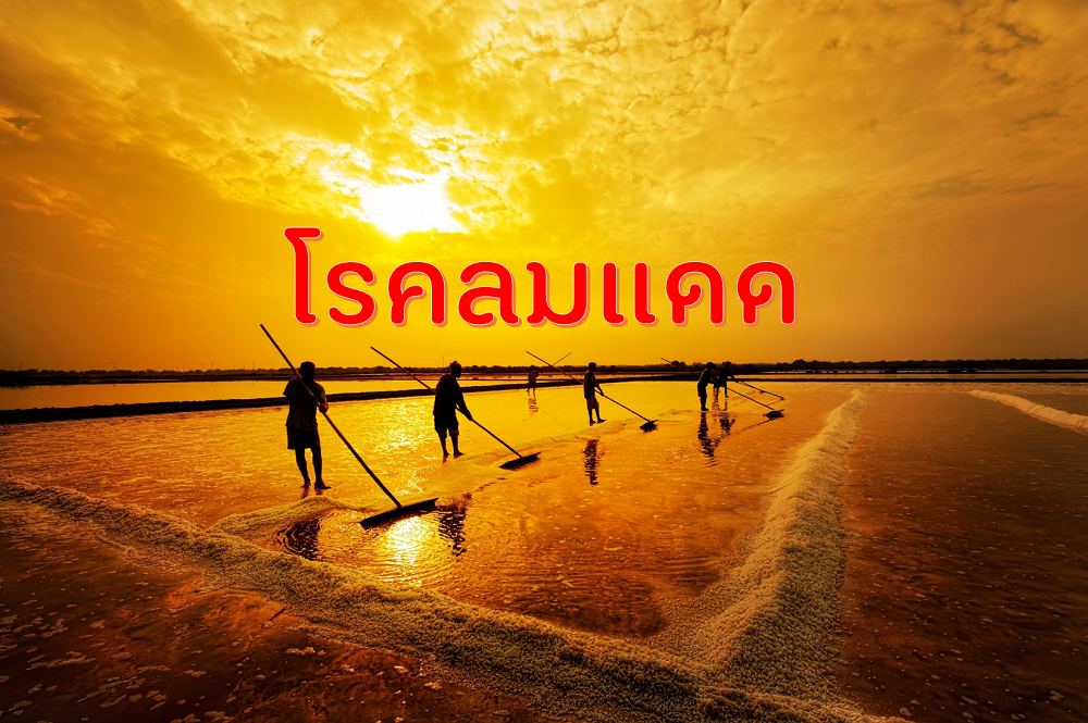 โรคลมแดด thaihealth