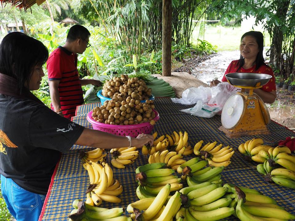 ตลาดนัดเพื่อสุขภาพ ที่บ้านรมณีย์ thaihealth
