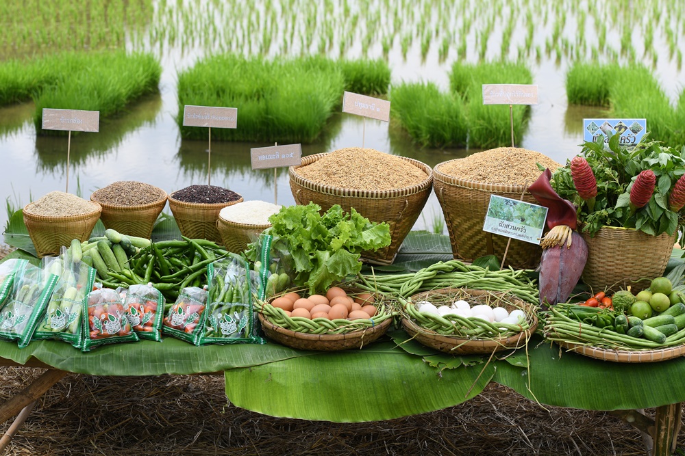ศูนย์เรียนรู้ตามหลักปรัชญาเศรษฐกิจพอเพียง thaihealth