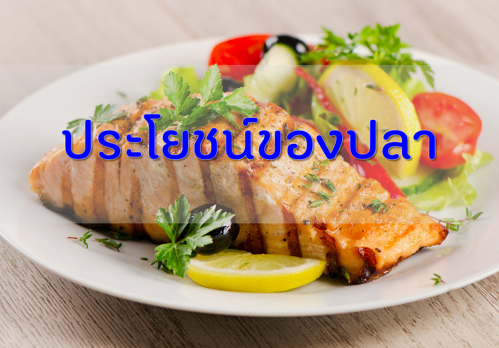 ประโยชน์ของปลา thaihealth