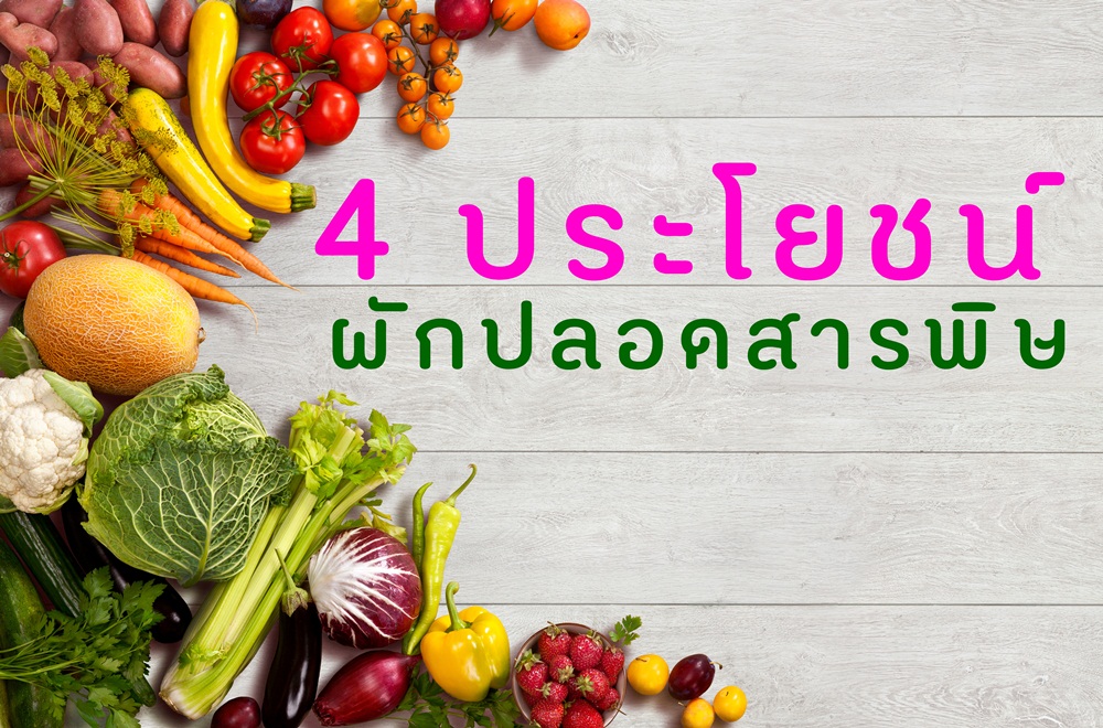 4 ประโยชน์ “ผักปลอดสารพิษ”  thaihealth