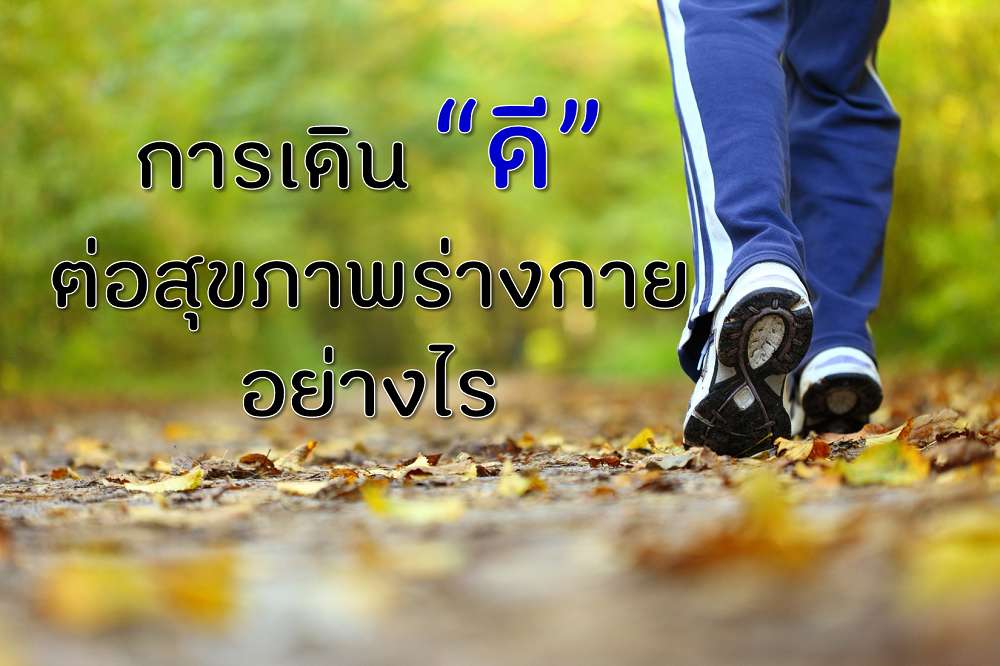 การเดิน 