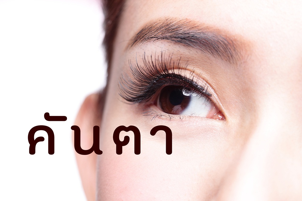 คันตา thaihealth
