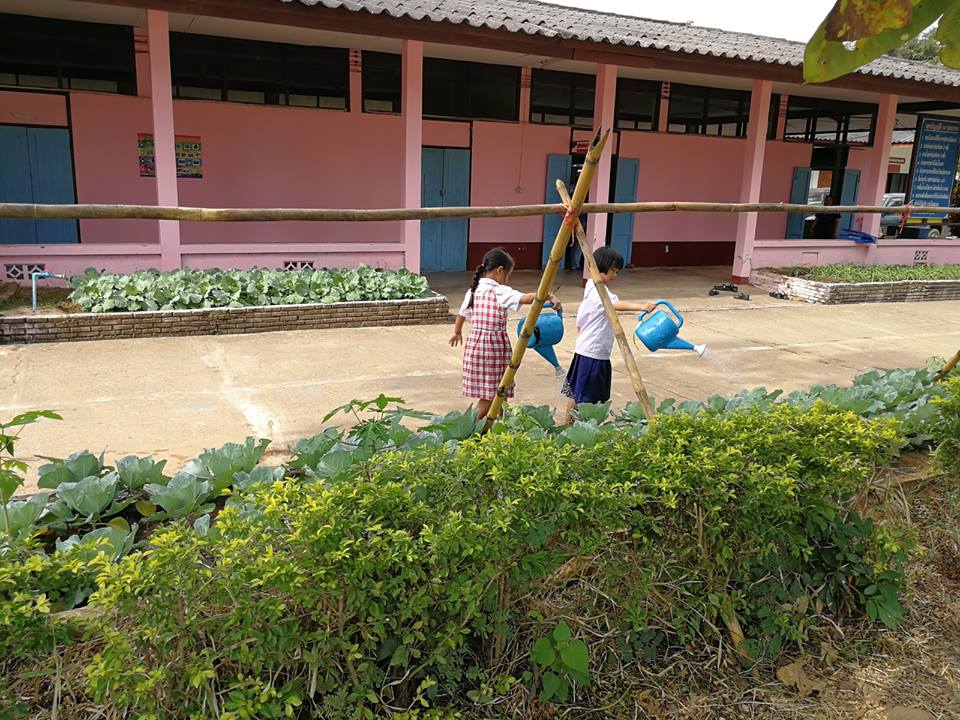'เด็กนาต๋ม' ปลูกผักรักษาโรงเรียน thaihealth
