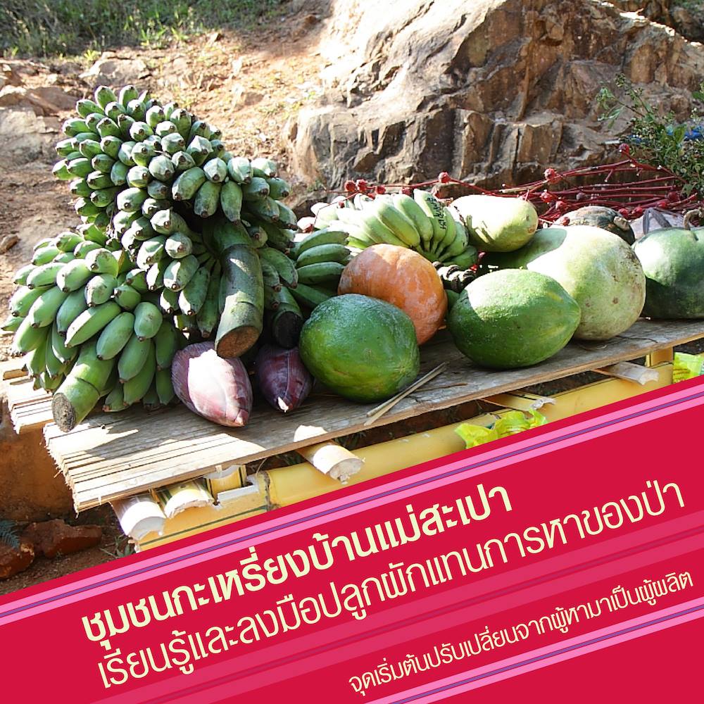ปลูกผักเพิ่ม 'ความมั่นคงทางอาหารในฤดูแล้ง' thaihealth