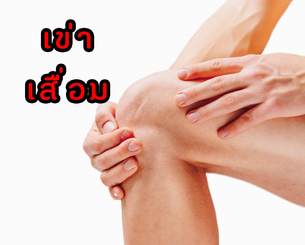 เข่าเสื่อม thaihealth