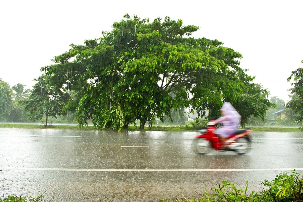 ทั่วไทยฝนฟ้าคะนอง ตกหนักบางแห่ง มีฝน 60% thaihealth