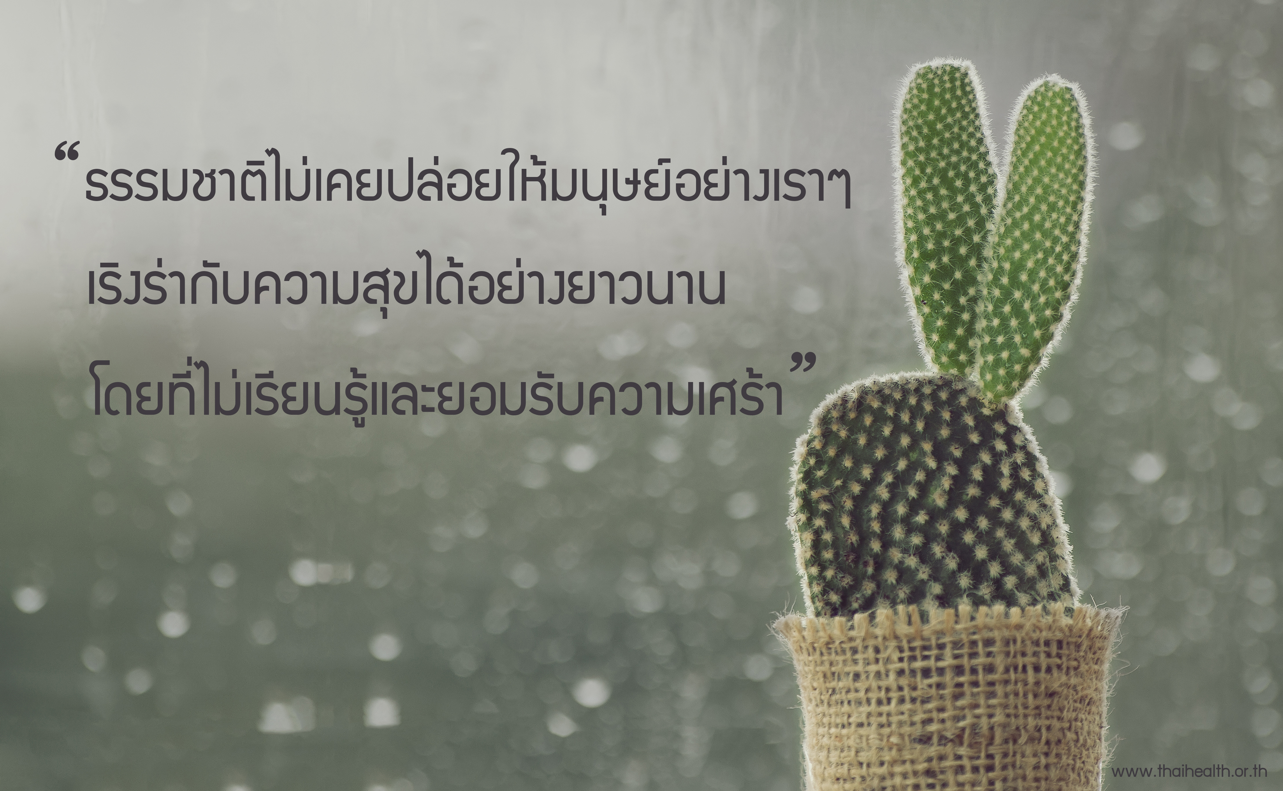 อาจเป็นเพราะฝน thaihealth
