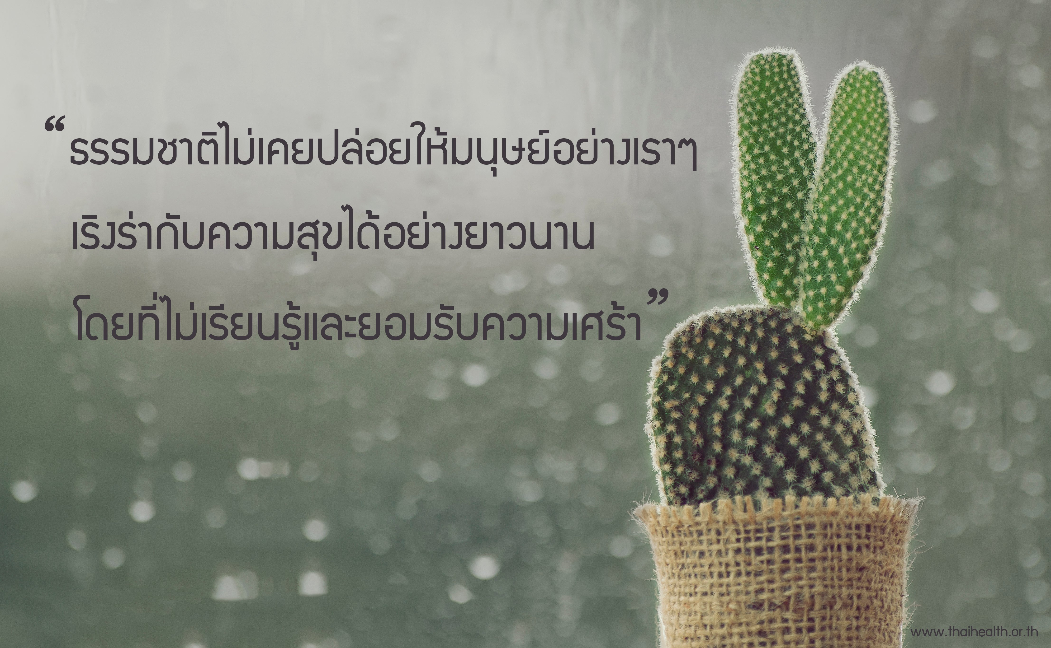 อาจเป็นเพราะฝน thaihealth
