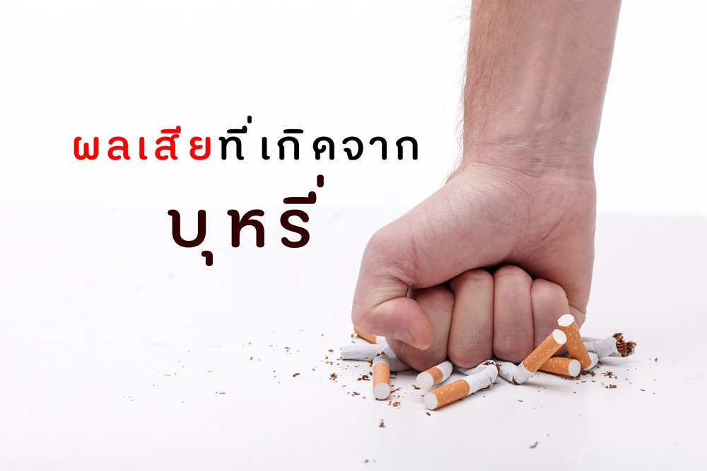 ผลเสียที่เกิดจากบุหรี่  thaihealth