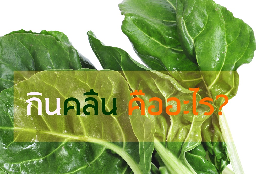 กินคลีน คืออะไร?  thaihealth