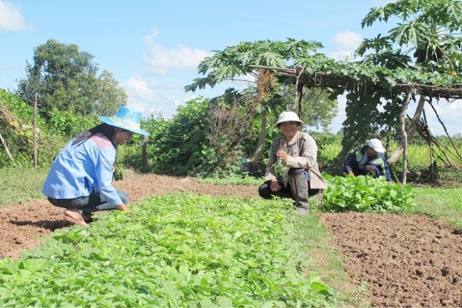 'ครัวกลาง' เมนูใหม่ของเด็กไทย thaihealth