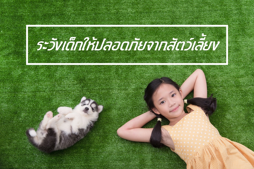 ระวังเด็กให้ปลอดภัยจากสัตว์เลี้ยง thaihealth
