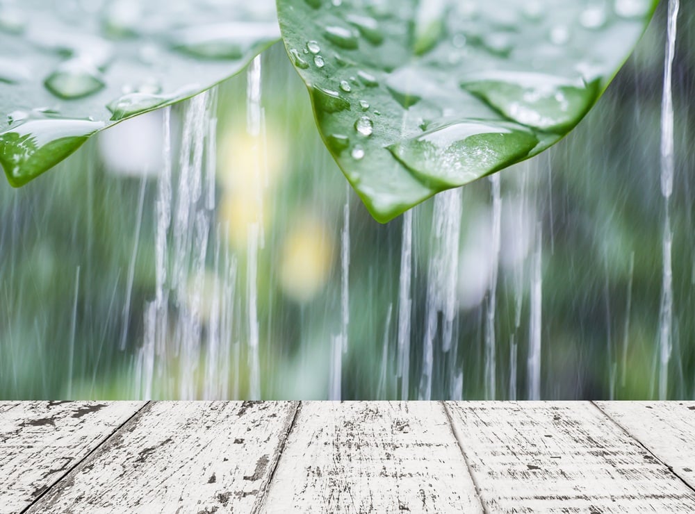 ภาคเหนือตอนล่าง-กลาง มีฝนตกหนักบางแห่ง กทม.ตก 40% ของพื้นที่ thaihealth