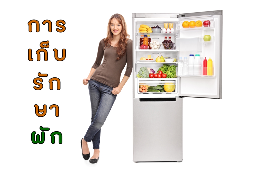 การเก็บรักษาผัก thaihealth