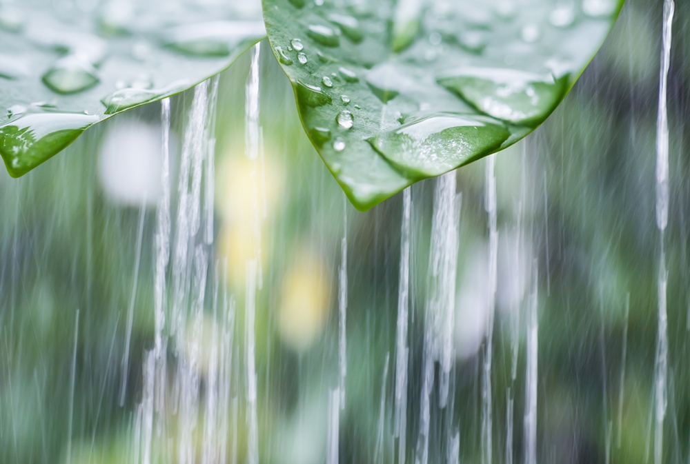 เหนือ-อีสาน ฝนยังตกมากกว่าภาคอื่นๆ  thaihealth