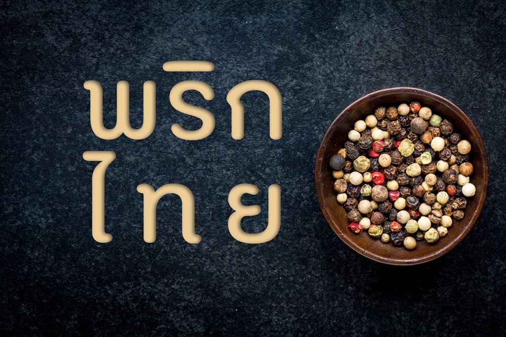 พริกไทย thaihealth