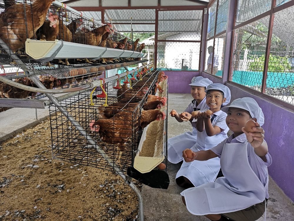 ดัน 'ดอนมูลชัยโมเดล' 36 โรงเรียนต้นแบบจัดอาหารคุณภาพ thaihealth