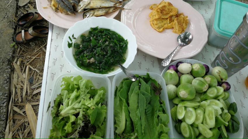 'แลนด์แชรริ่ง' เพิ่มพื้นที่เกษตรกรรมกลางกรุง thaihealth