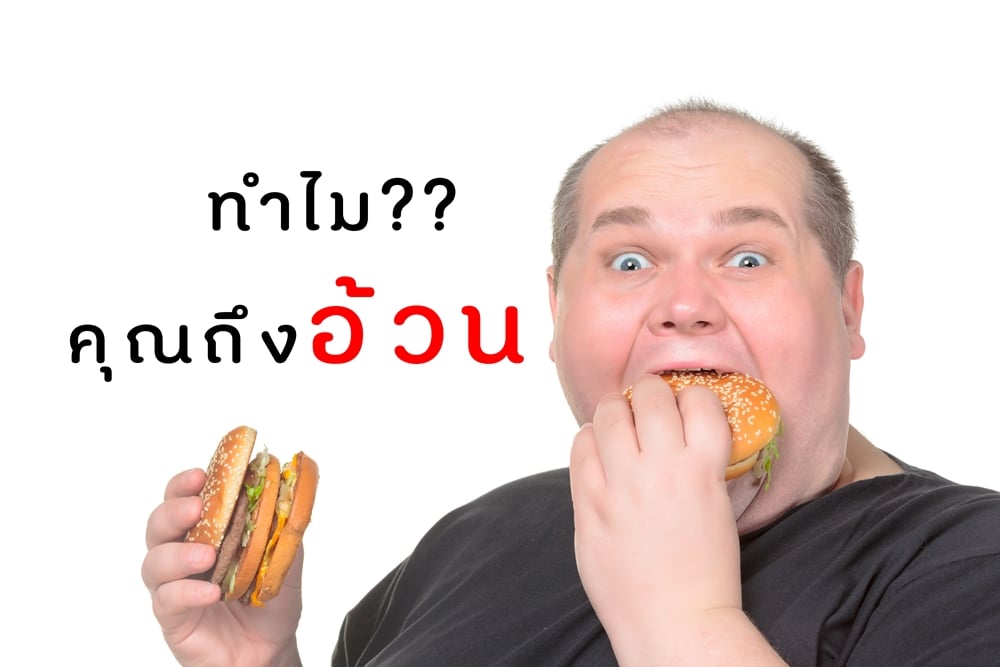 ทำไม คุณถึงอ้วน thaihealth