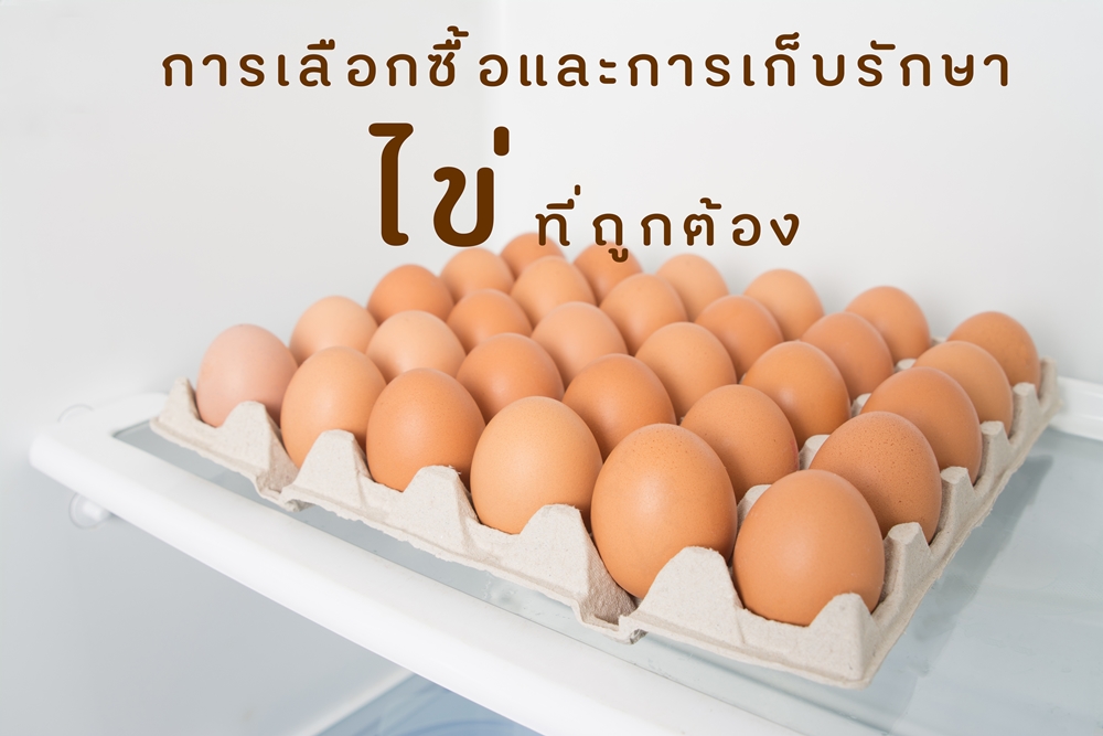 การเลือกซื้อและการเก็บรักษาไข่ที่ถูกต้อง thaihealth
