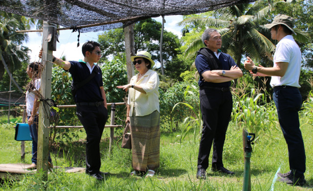 Organic Tourism Open House ฟรี thaihealth