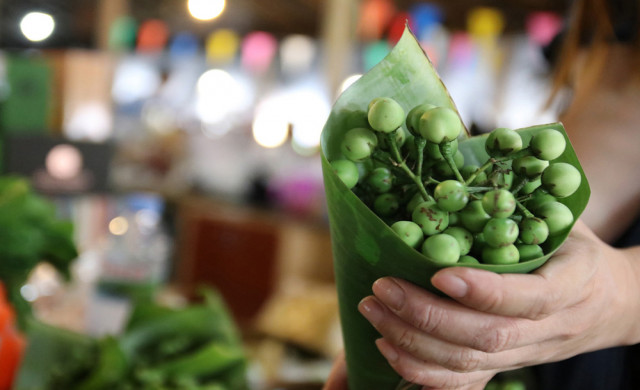Organic Tourism Open House ฟรี thaihealth