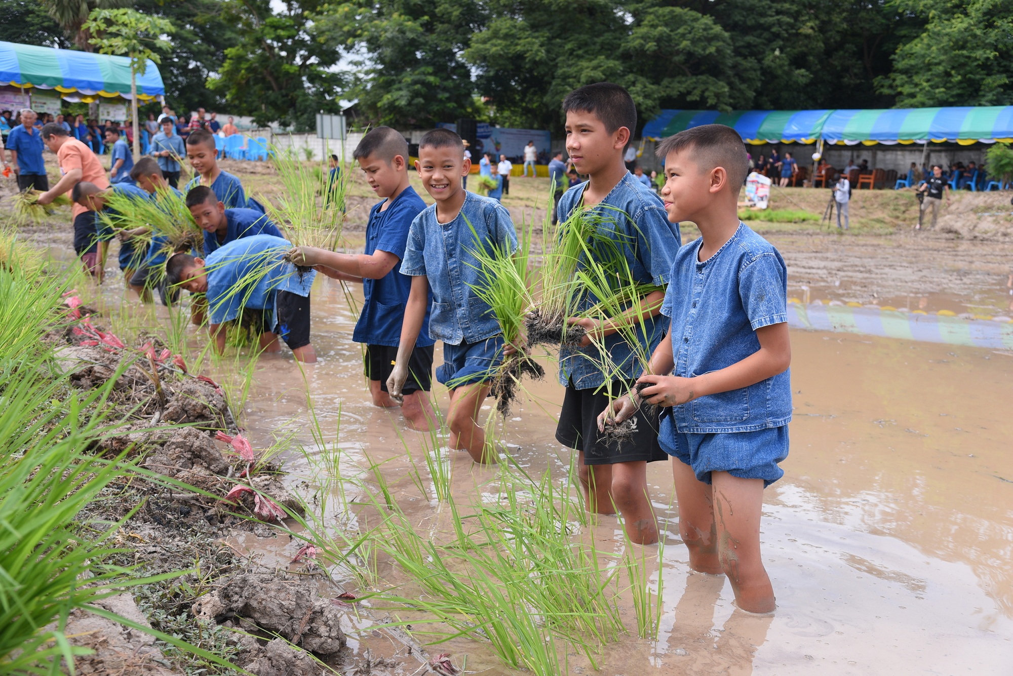 โรงเรียน 'เด็กไทยแก้มใส' thaihealth