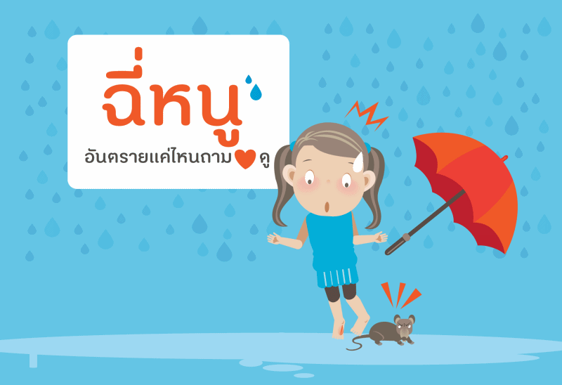 ฉี่หนู อันตรายแค่ไหนถามใจดู thaihealth