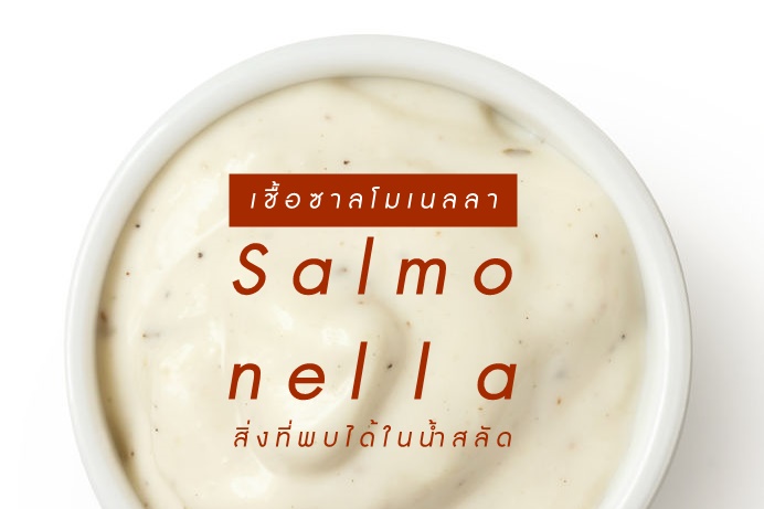 เชื้อซาลโมเนลลา สิ่งที่พบได้ในน้ำสลัด thaihealth