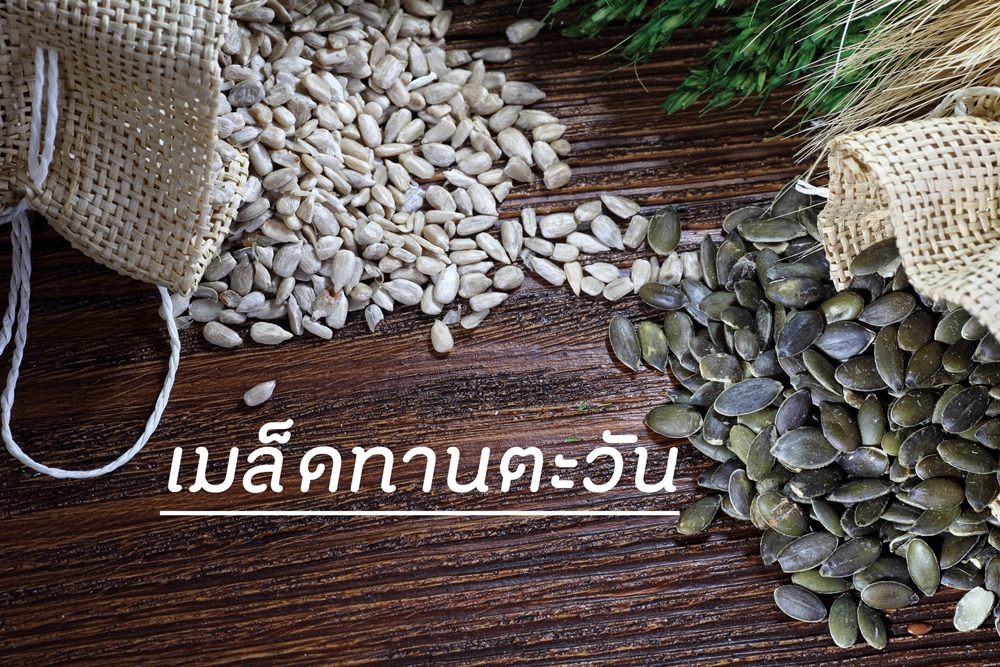 เมล็ดทานตะวัน thaihealth