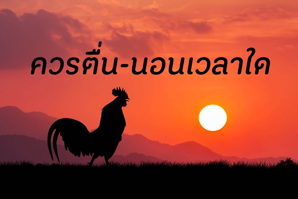 ควรตื่น-นอนเวลาใดควรตื่น-นอนเวลาใด thaihealth