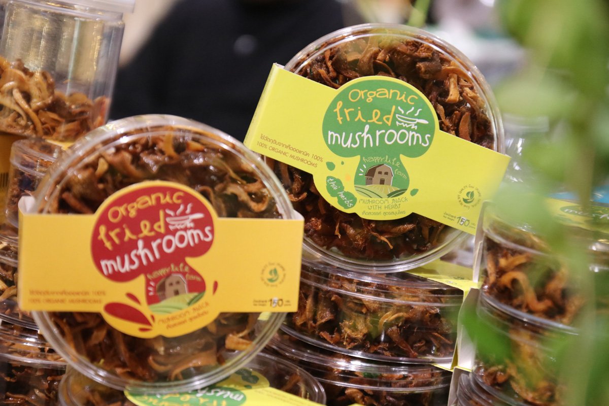 เรียนรู้-ชิม-ช้อป-เห็ดอินทรีย์ ต้อนรับเทศกาล 'กินเจ' thaihealth