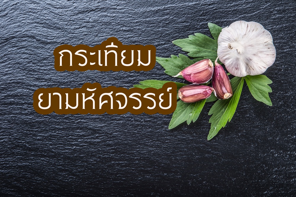 กระเทียมยามหัศจรรย์ thaihealth